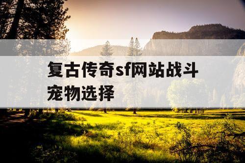复古传奇sf网站战斗宠物选择