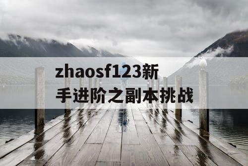 zhaosf123新手进阶之副本挑战