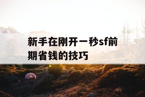 新手在刚开一秒sf前期省钱的技巧