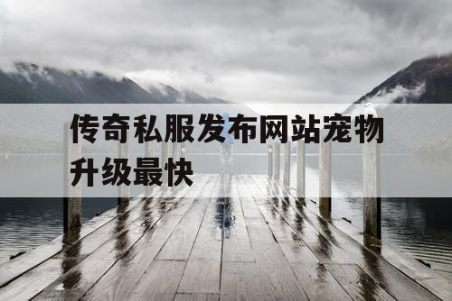 传奇私服发布网站宠物升级最快
