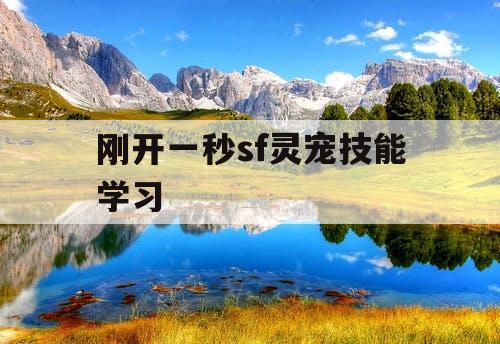 刚开一秒sf灵宠技能学习