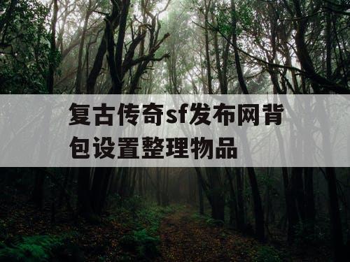 复古传奇sf发布网背包设置整理物品