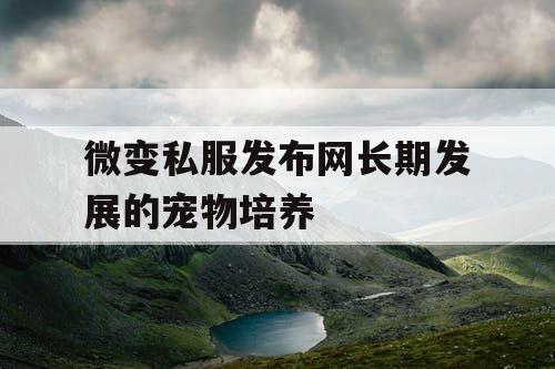 微变私服发布网长期发展的宠物培养