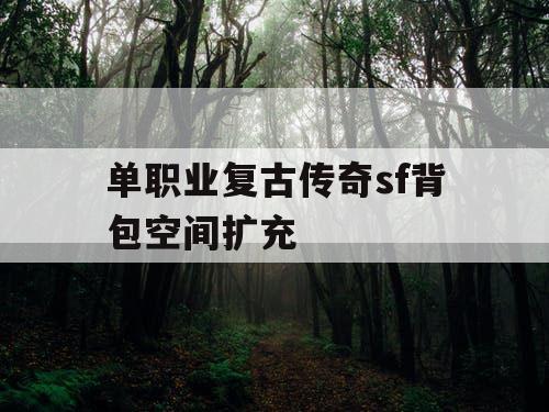 单职业复古传奇sf背包空间扩充