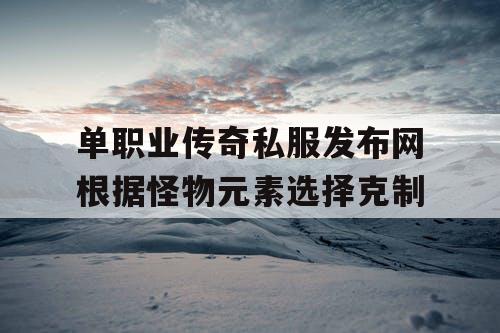 单职业传奇私服发布网根据怪物元素选择克制