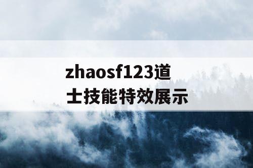 zhaosf123道士技能特效展示