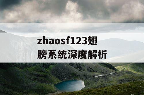 zhaosf123翅膀系统深度解析