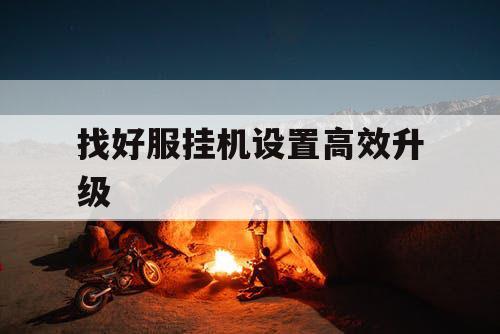 找好服挂机设置高效升级