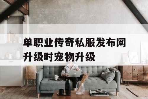 单职业传奇私服发布网升级时宠物升级