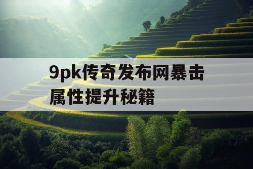 9pk传奇发布网暴击属性提升秘籍