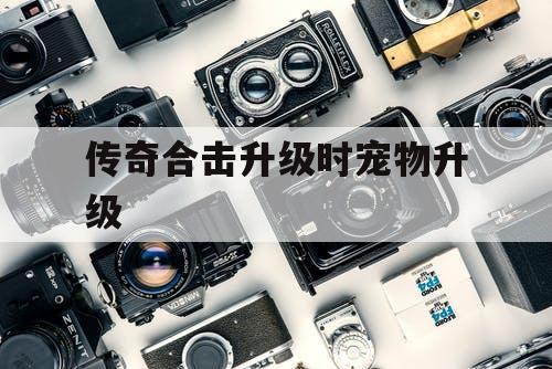 传奇合击升级时宠物升级