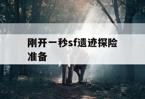 刚开一秒sf遗迹探险准备