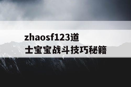 zhaosf123道士宝宝战斗技巧秘籍